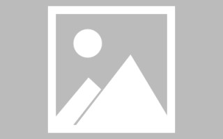 石河子url网页设计（网页的url由哪三个部分构成?）